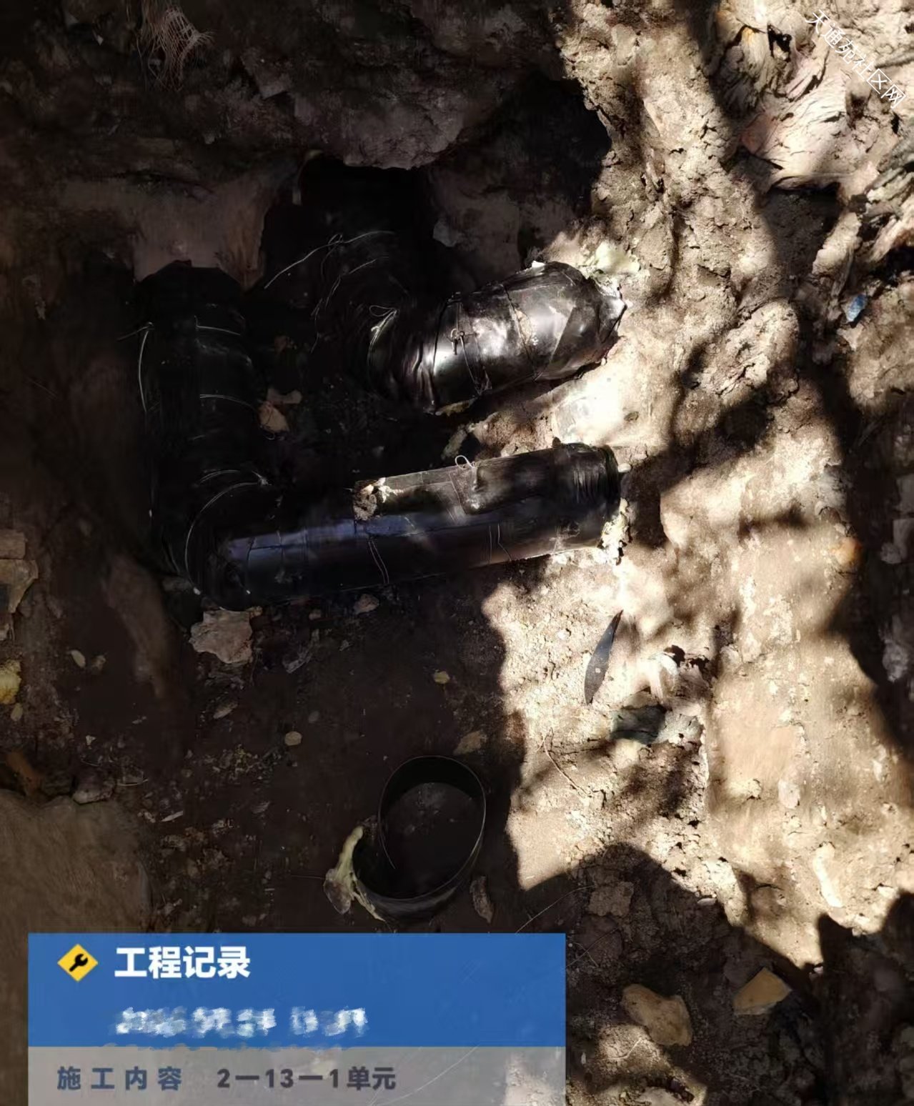 “冬病夏治”天陽在行動